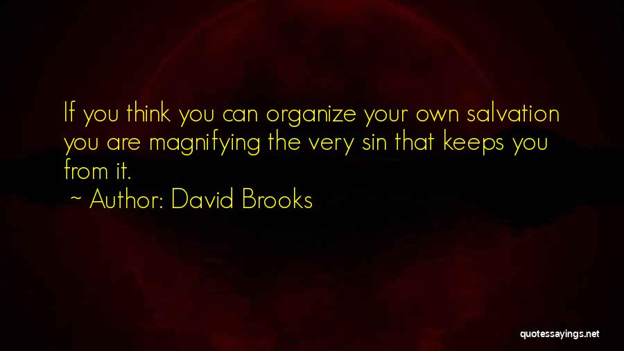 David Brooks Quotes 1030047
