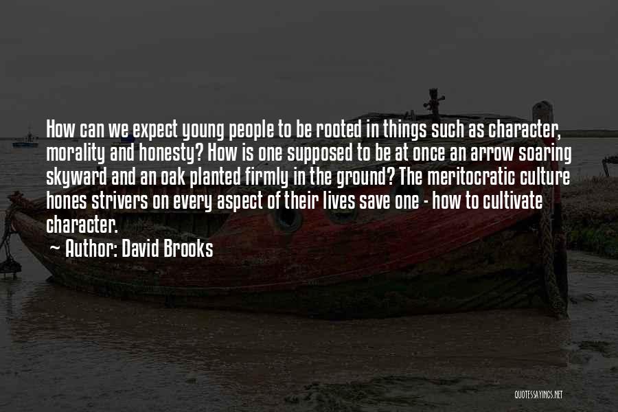 David Brooks Quotes 1126406