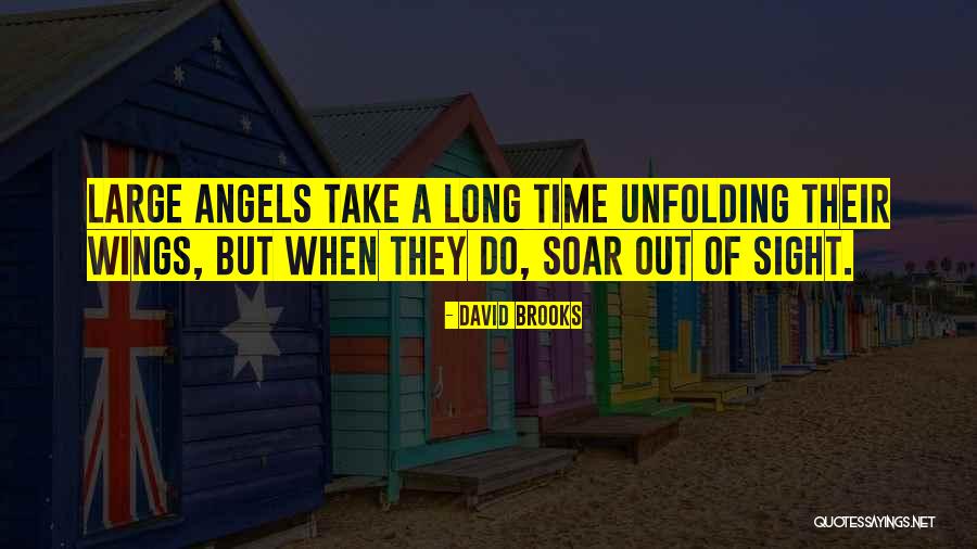 David Brooks Quotes 1207913 David Brooks Quotes 1207913