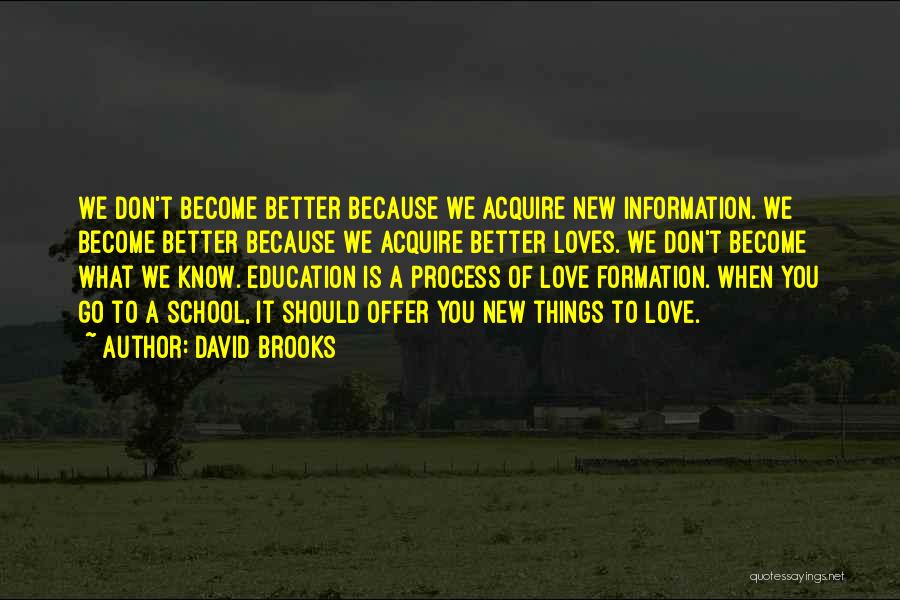 David Brooks Quotes 1428661