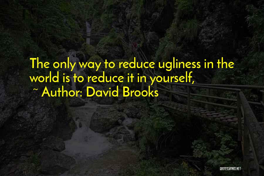 David Brooks Quotes 1453479