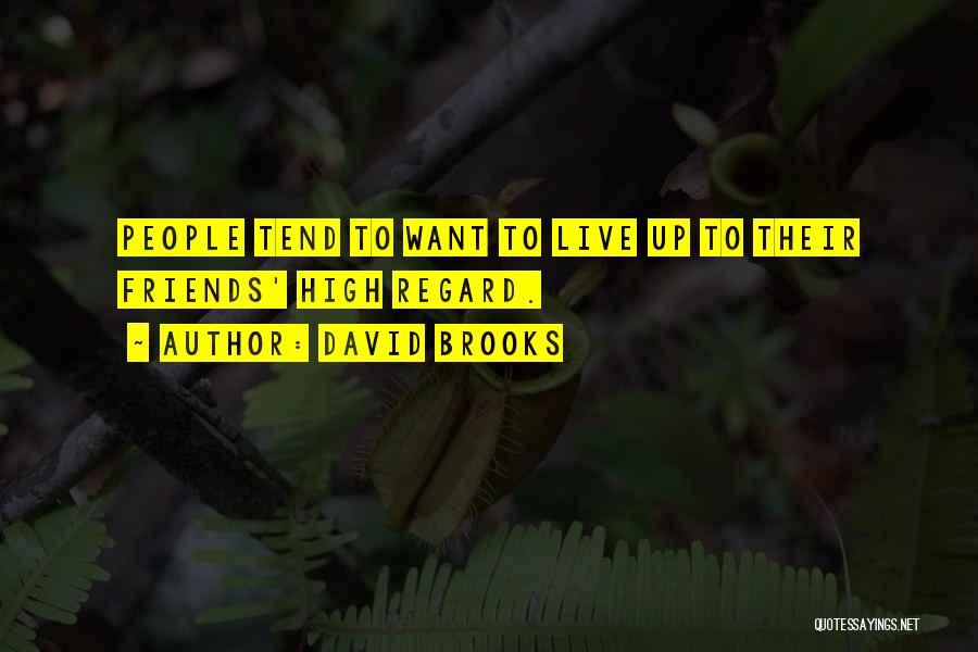 David Brooks Quotes 1457715