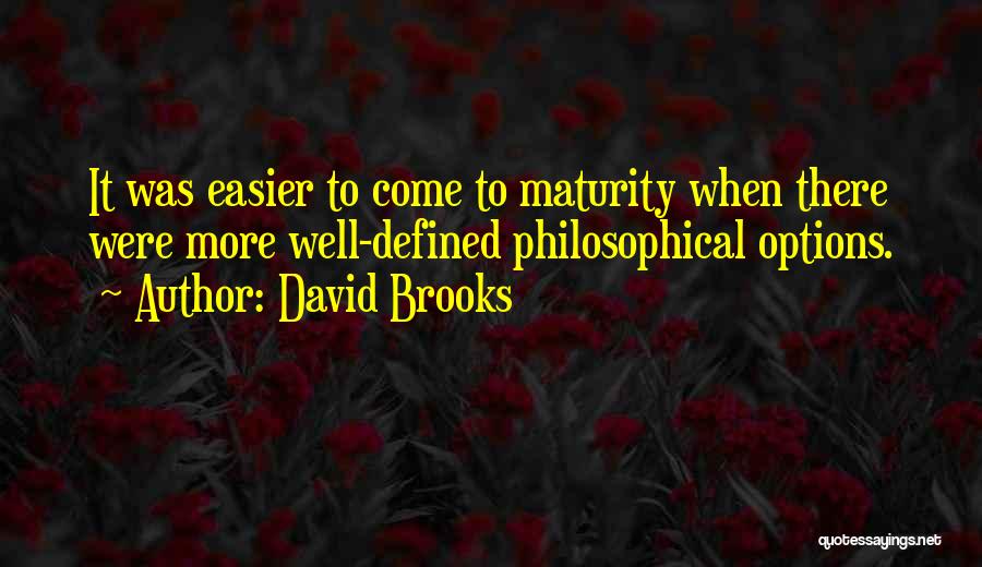 David Brooks Quotes 159993