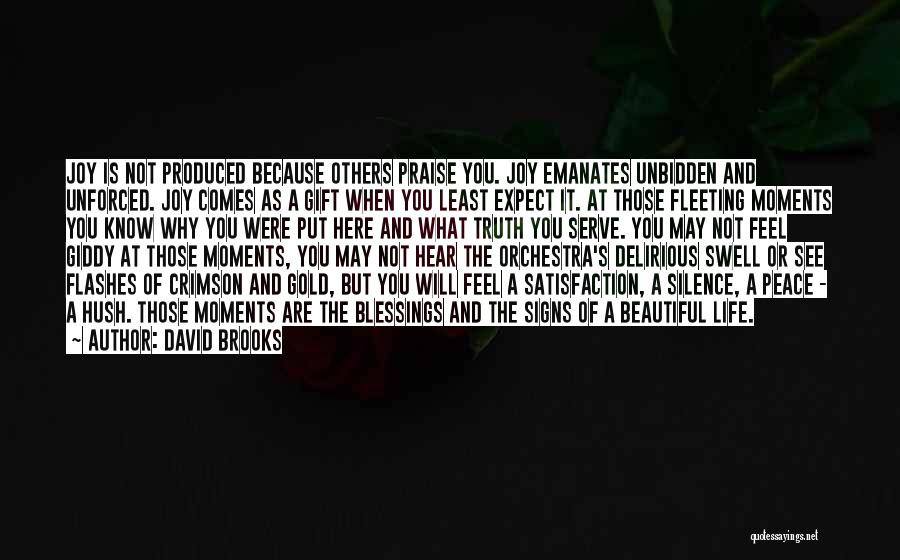 David Brooks Quotes 1645694