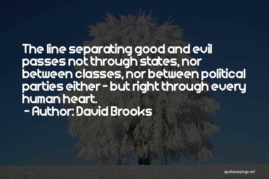 David Brooks Quotes 1654838