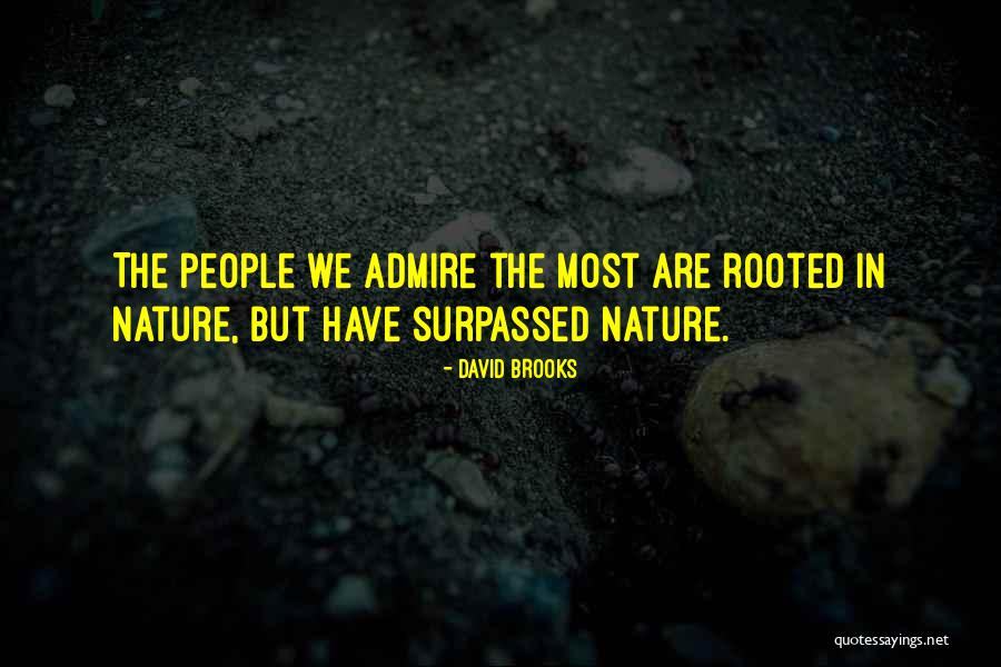 David Brooks Quotes 1790597 David Brooks Quotes 1790597