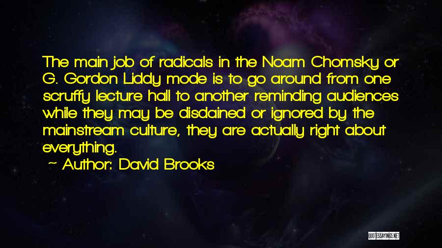David Brooks Quotes 1868349