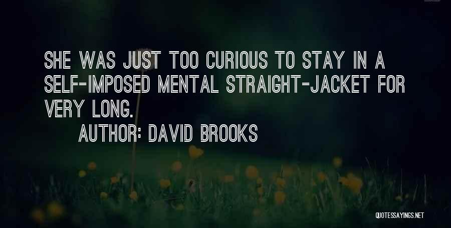 David Brooks Quotes 220442
