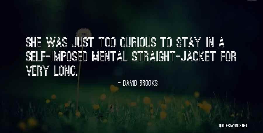 David Brooks Quotes 220442