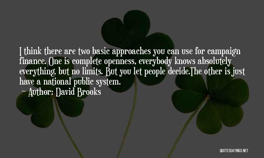 David Brooks Quotes 440694