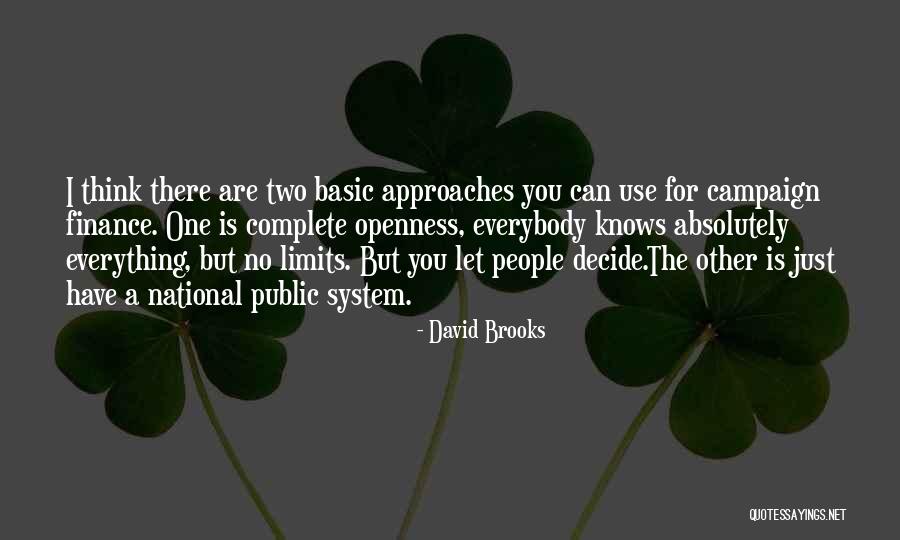 David Brooks Quotes 440694