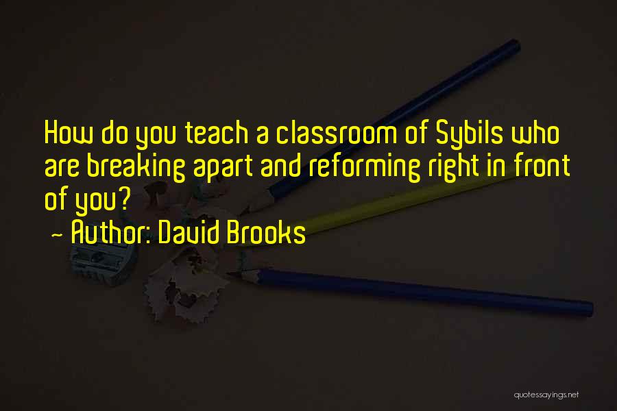 David Brooks Quotes 476721