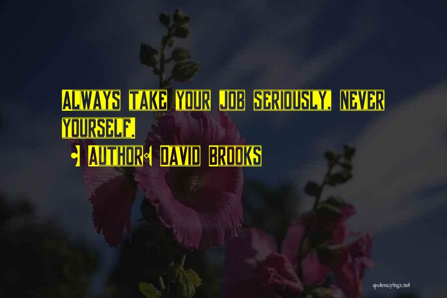 David Brooks Quotes 577537