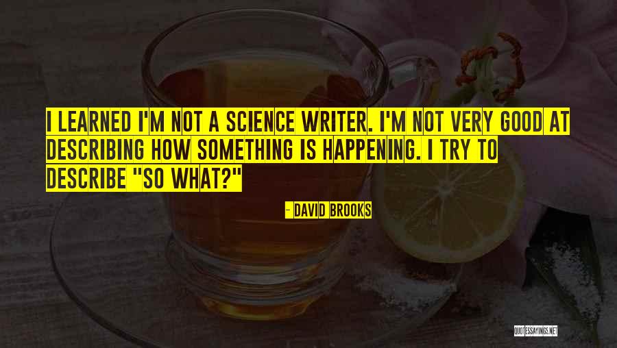 David Brooks Quotes 628931 David Brooks Quotes 628931