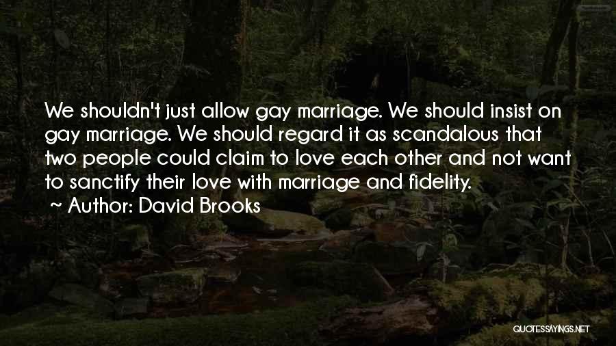 David Brooks Quotes 824440
