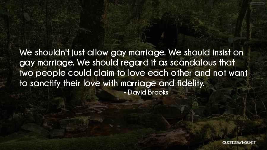 David Brooks Quotes 824440 David Brooks Quotes 824440
