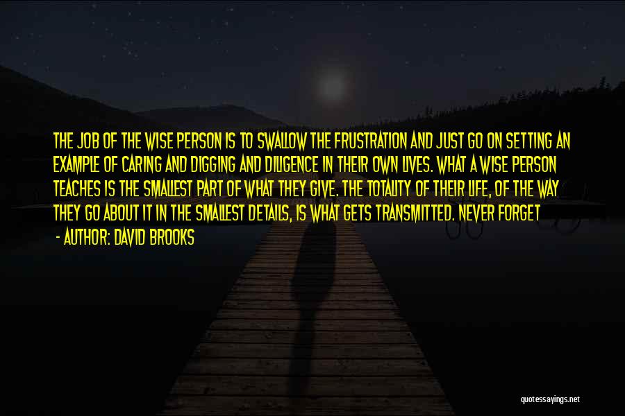 David Brooks Quotes 922897