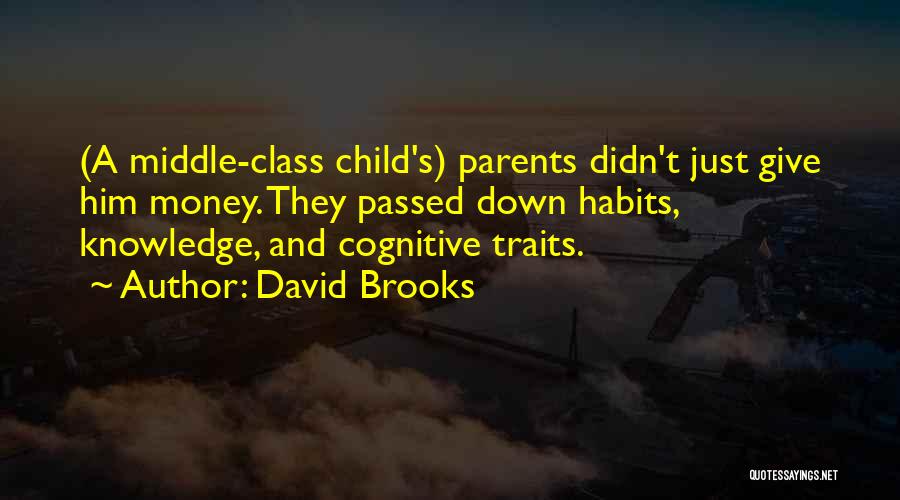 David Brooks Quotes 925701