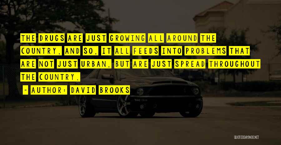 David Brooks Quotes 934025