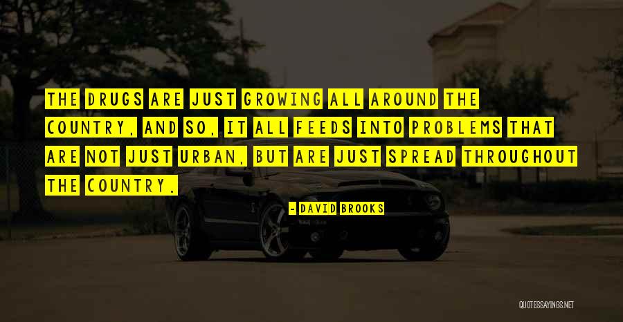 David Brooks Quotes 934025 David Brooks Quotes 934025