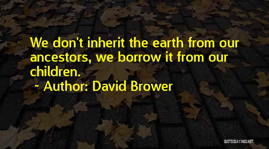 David Brower Quotes 1340427