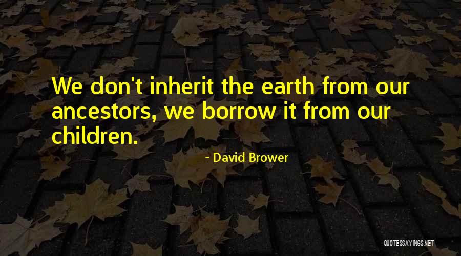 David Brower Quotes 1340427