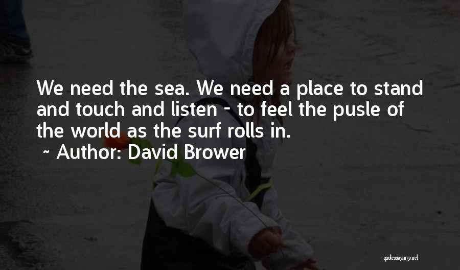 David Brower Quotes 1683370