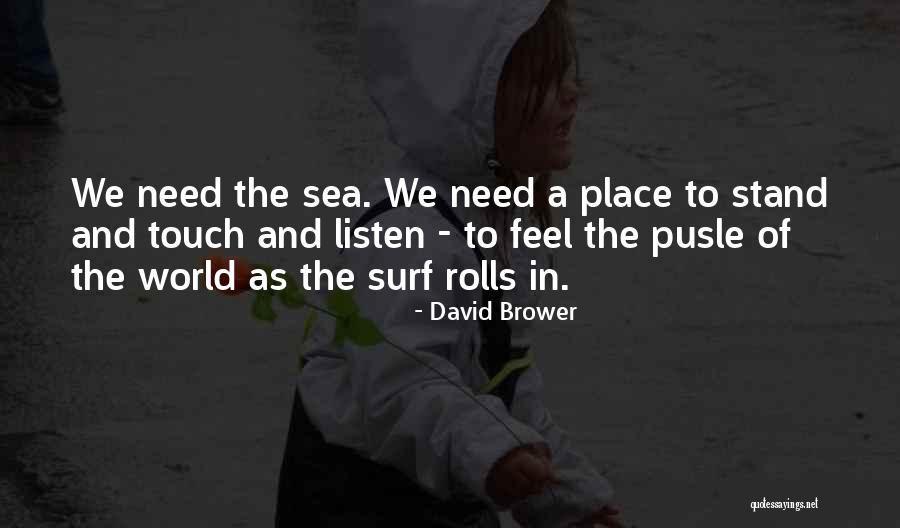 David Brower Quotes 1683370 David Brower Quotes 1683370