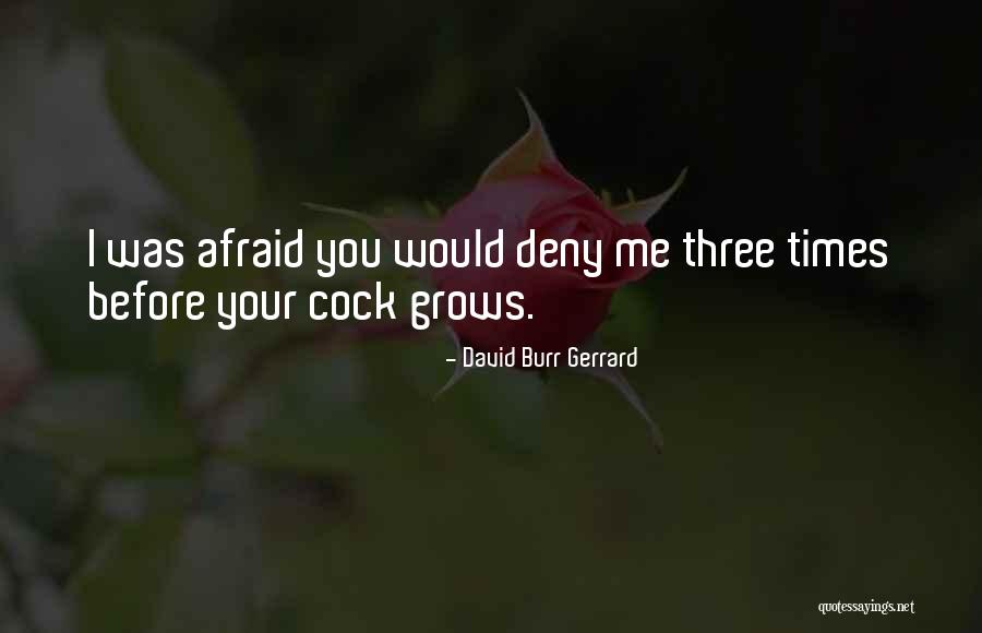 David Burr Gerrard Quotes 1048465 David Burr Gerrard Quotes 1048465