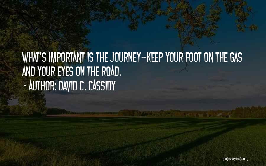 David C. Cassidy Quotes 677089