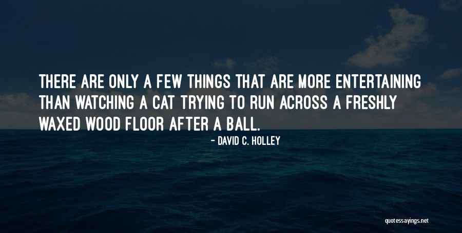 David C. Holley Quotes 899678