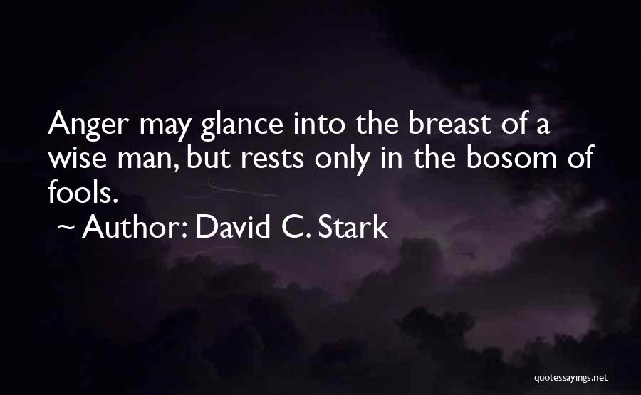 David C. Stark Quotes 1542996