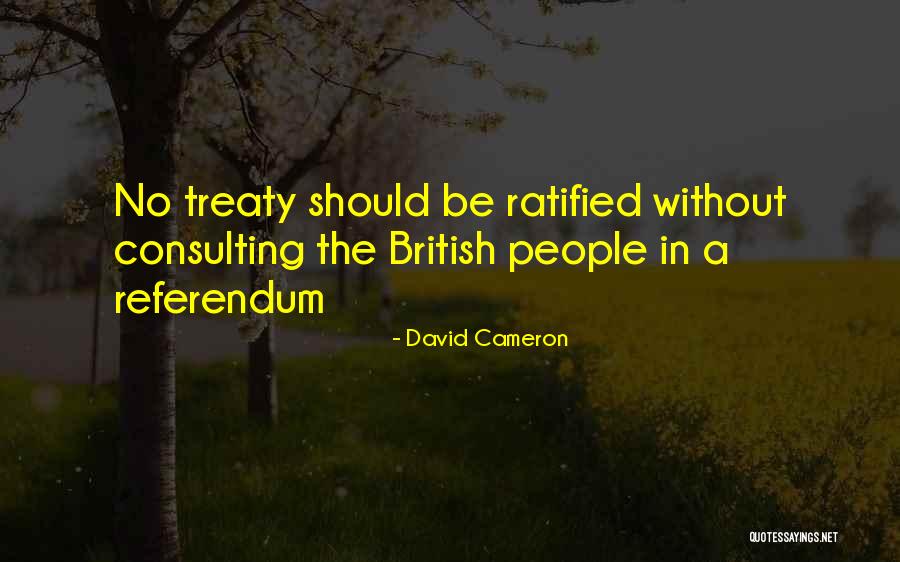 David Cameron Quotes 1226922