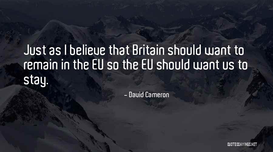 David Cameron Quotes 1597481