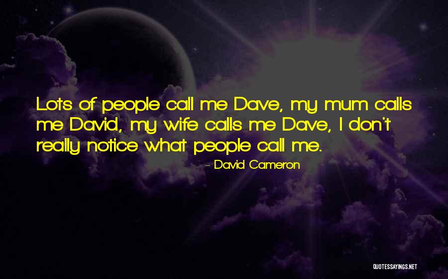 David Cameron Quotes 1623432