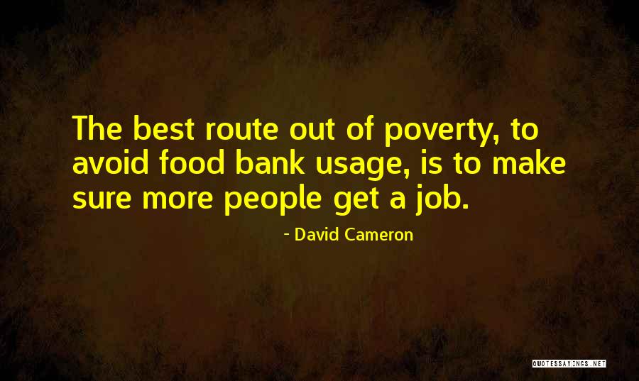 David Cameron Quotes 1901590