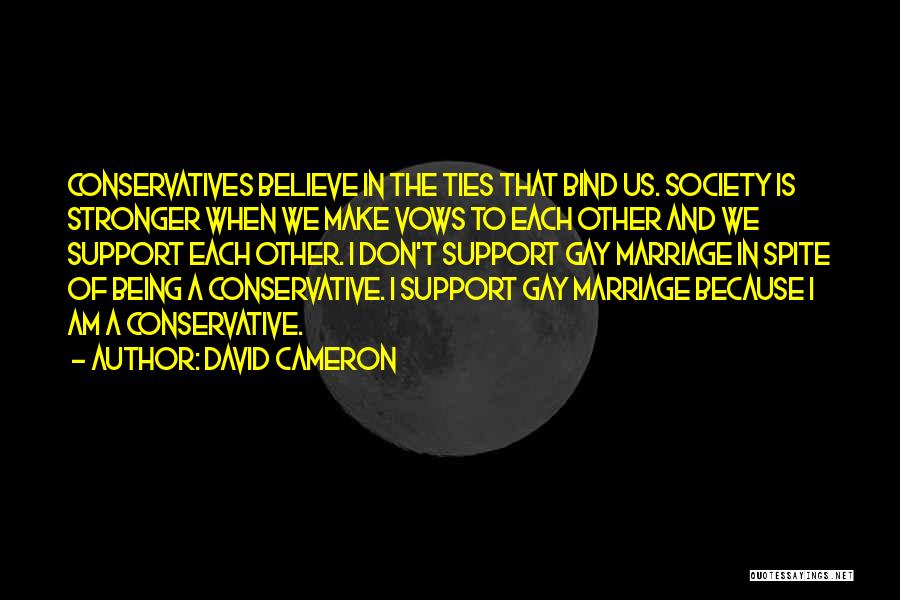 David Cameron Quotes 2016558