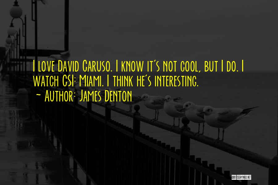 David Caruso Csi Miami Quotes By James Denton