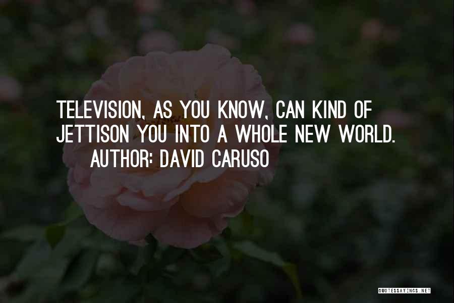 David Caruso Quotes 994578