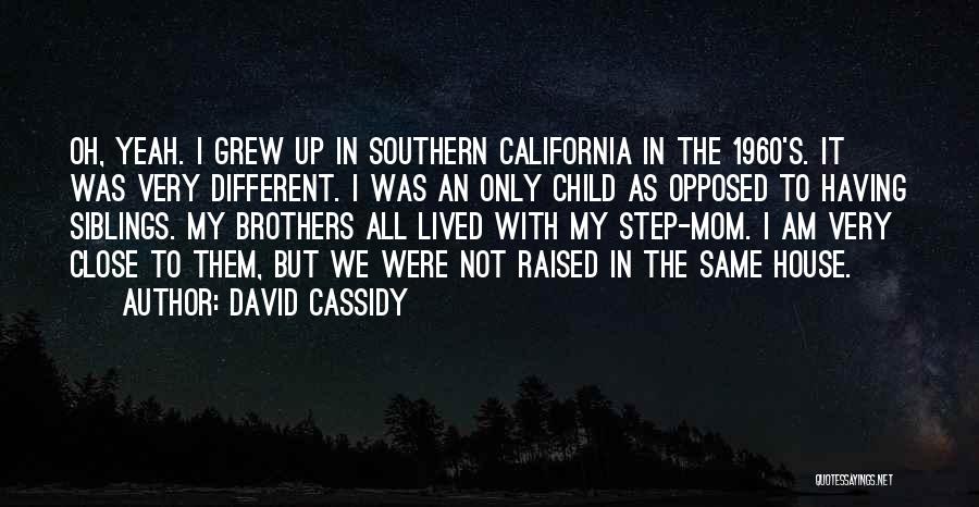 David Cassidy Quotes 1211434