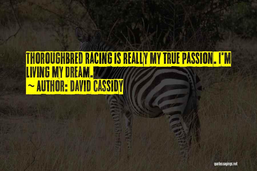 David Cassidy Quotes 1232327