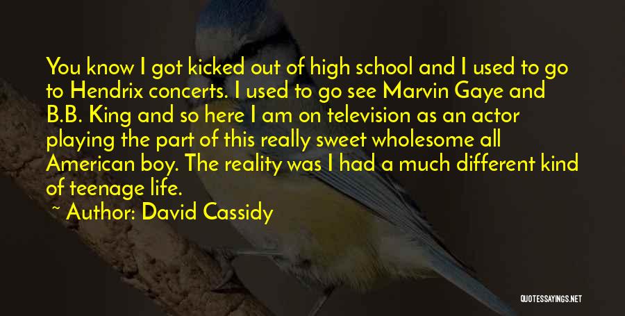 David Cassidy Quotes 2238657