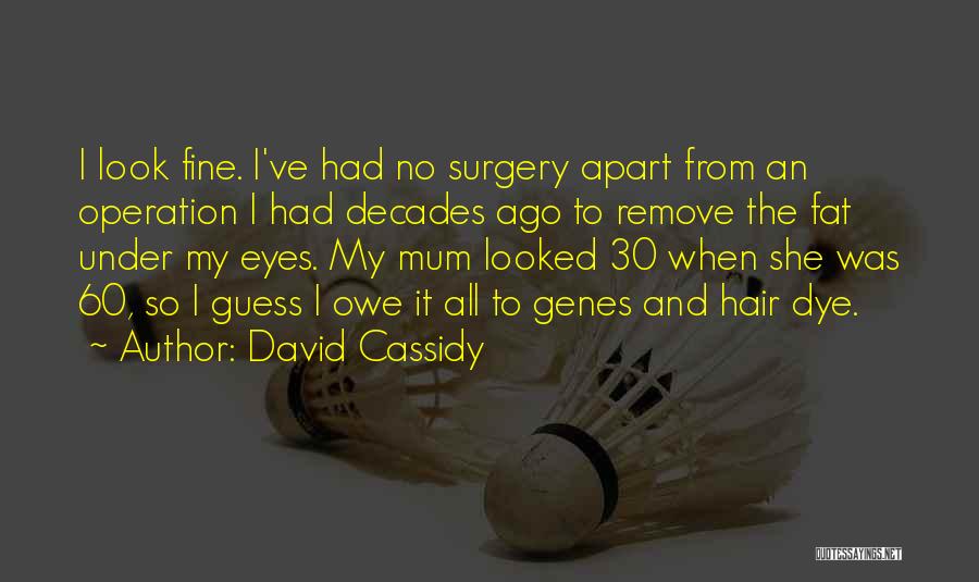 David Cassidy Quotes 469129