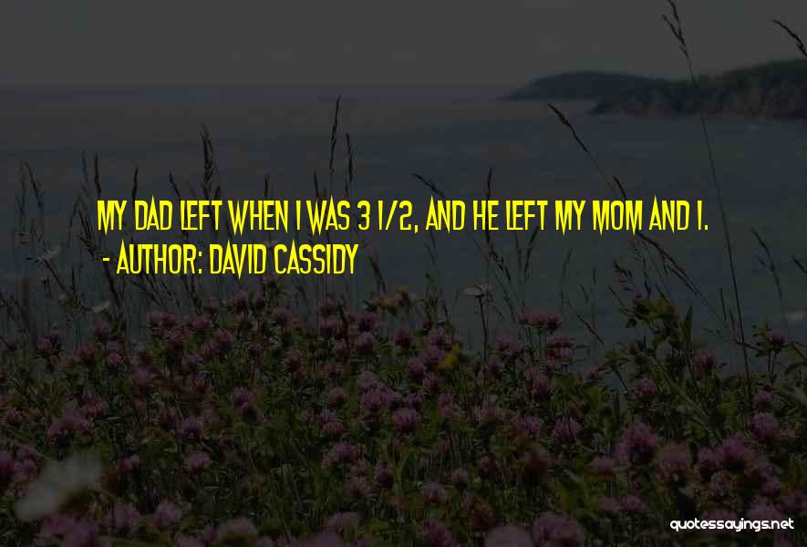 David Cassidy Quotes 713285