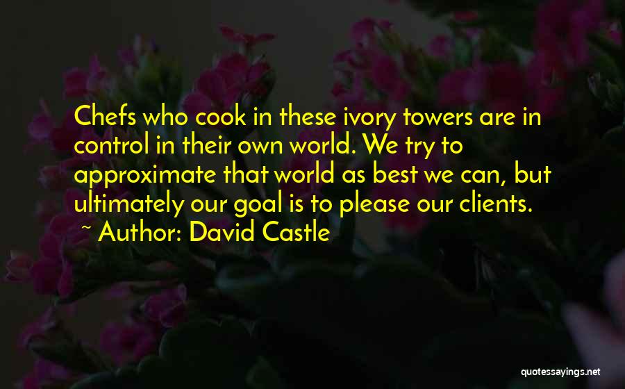 David Castle Quotes 635624