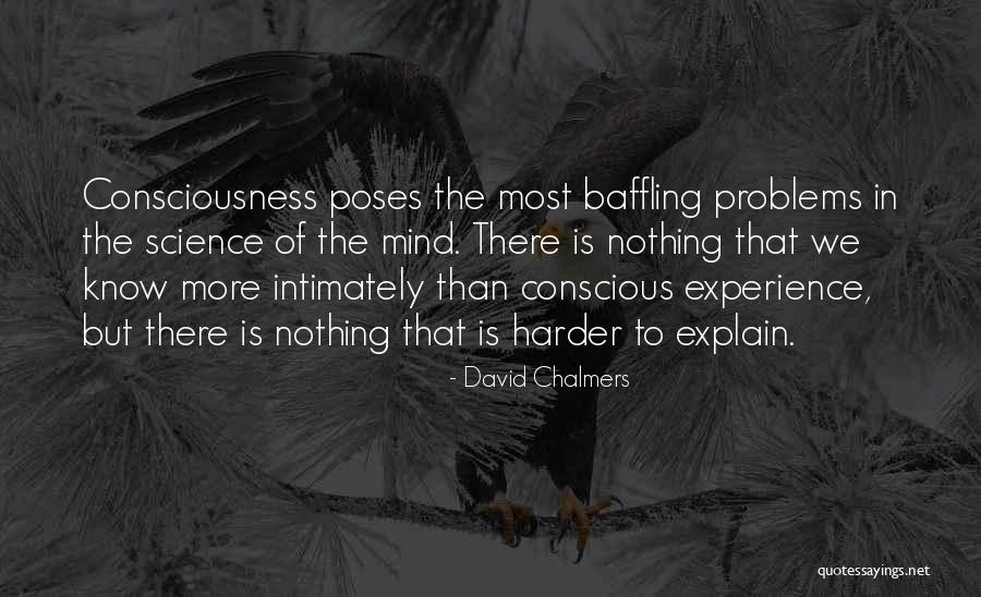 David Chalmers Quotes 398290