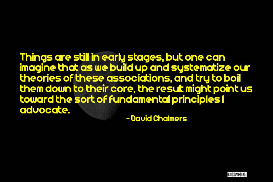 David Chalmers Quotes 452039