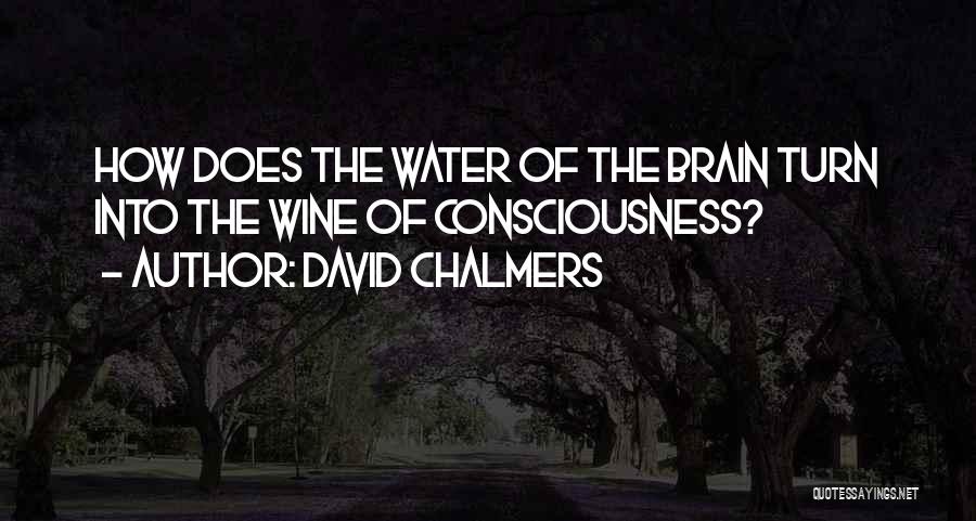 David Chalmers Quotes 947490