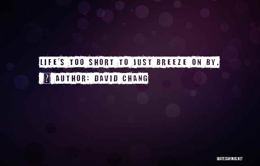 David Chang Quotes 819454