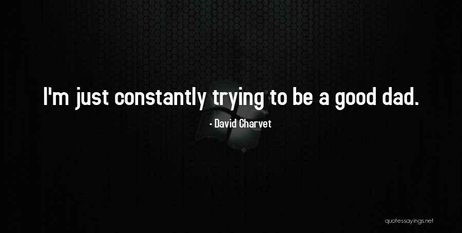 David Charvet Quotes 1414233